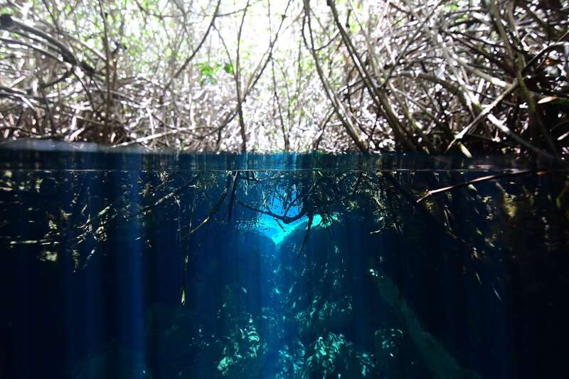 Tulum: Discover Scuba Diving in Cenotes - Equipment, instructor supervision, and the small-group advantage