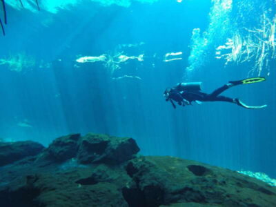 Tulum: Discover Scuba Diving in Cenotes - The 30-minute class: what you’re learning before you go underwater