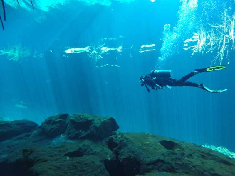 Tulum: Discover Scuba Diving in Cenotes - Price and value: what $180 actually covers