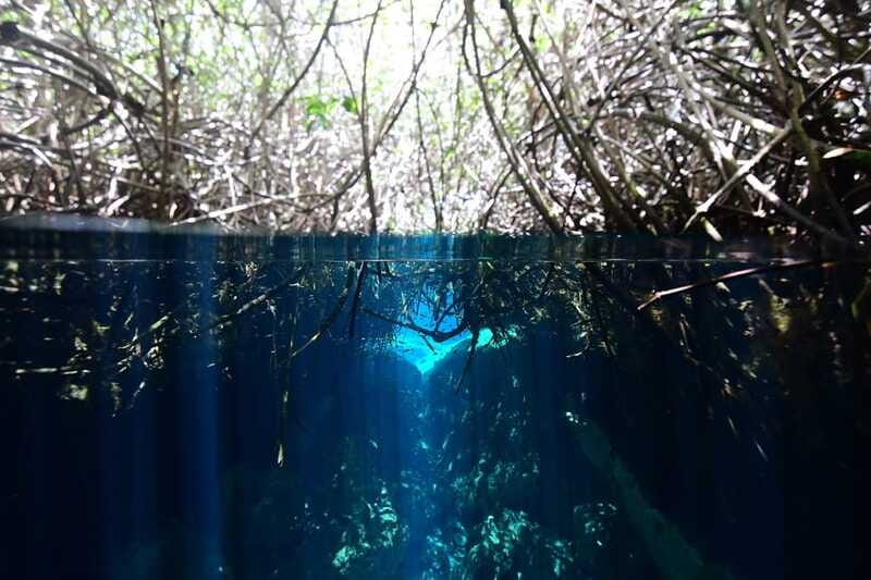 Tulum: Discover Scuba Diving in Cenotes - What to bring: pack like you’re learning (because you are)