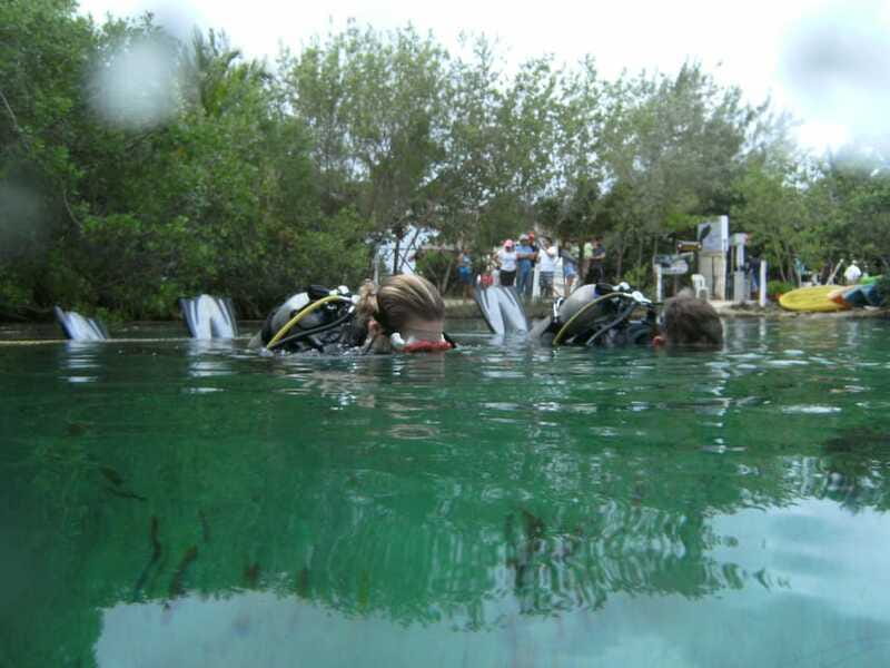 Tulum: Discover Scuba Diving in Cenotes - Who this tour suits best (and who might hesitate)