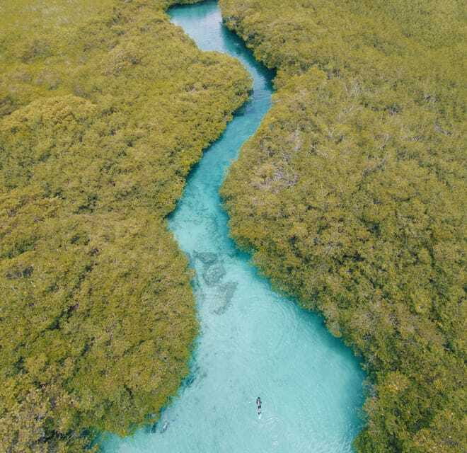 Tulum: Discover Scuba Diving in Cenotes - The human factor: instructors that keep it calm