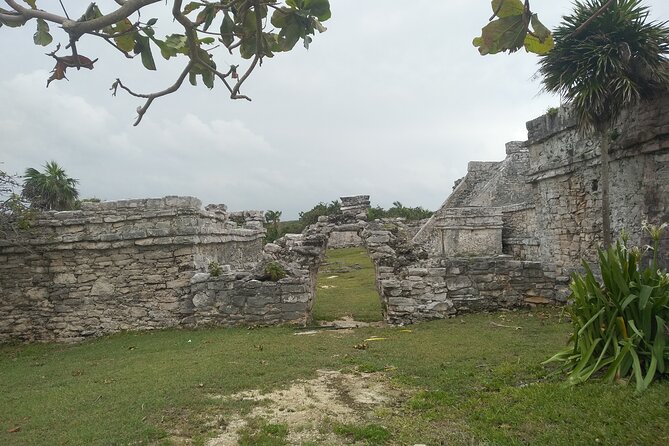 Tulum Guided Tour and Cenote Swim from Playa del Carmen - Transportation + Price: Where Your $119.56 Actually Goes