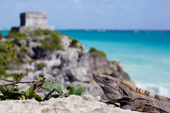 Tulum Guided Tour and Cenote Swim from Playa del Carmen - Who This Tour Suits Best (And Who Might Want Something Else)
