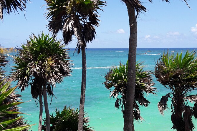 Tulum Private Boat Tour & Turtle Snorkeling Experience - Weather, minimum numbers, and how that affects your day