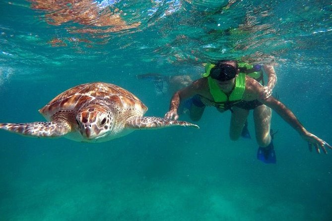 Tulum ruins swim with turtles in Akumal and Cenote - Tulum Archaeological Site: a port city in 90 minutes