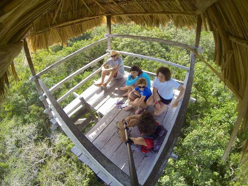 Tulum: Sian Ka'an Lagoons and Cenote Escondido Tour - The $233 price: what you’re really paying for