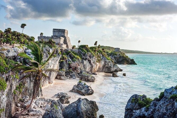 Tulum Turtle Encounter - The Best Private Turtles Snorkel Tour - Morning pickup at 8:00 am: how the day starts smoothly