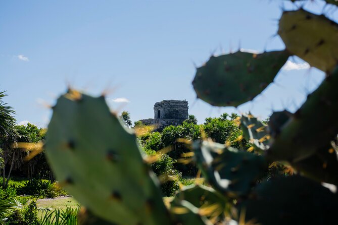 Turtle Swim & Tulum Ruins! With Cenote from Playa del Carmen - Cenote Nohoch Swim: Underground Rivers and Wet-Ready Packing
