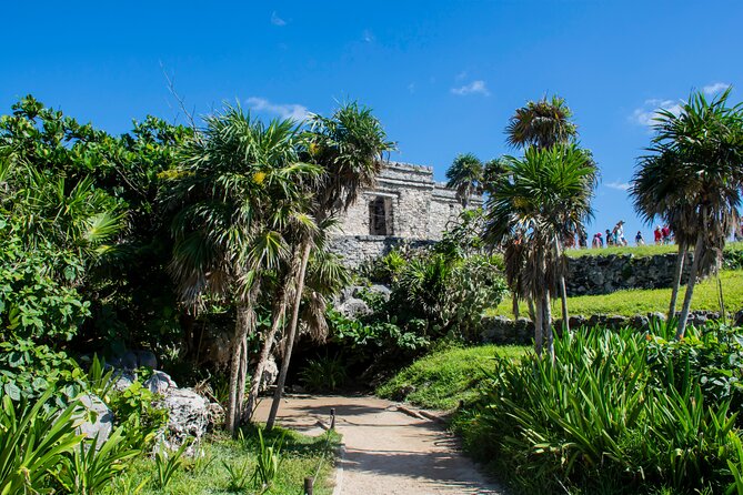 Turtle Swim & Tulum Ruins! With Cenote from Playa del Carmen - Cancun Pirate Ship Show at Night: Dinner, Open Bar, and the Party-Pirate Mix