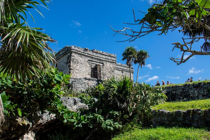 Turtle Swim & Tulum Ruins! With Cenote from Playa del Carmen - Tulum Ruins and the Giant Blue Letters Stop: What You Actually Do