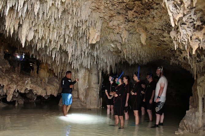 Turtles and Cenote snorkeling activity from Riviera Maya - What You Get In the Water: Gear, Wetsuits, and Timing