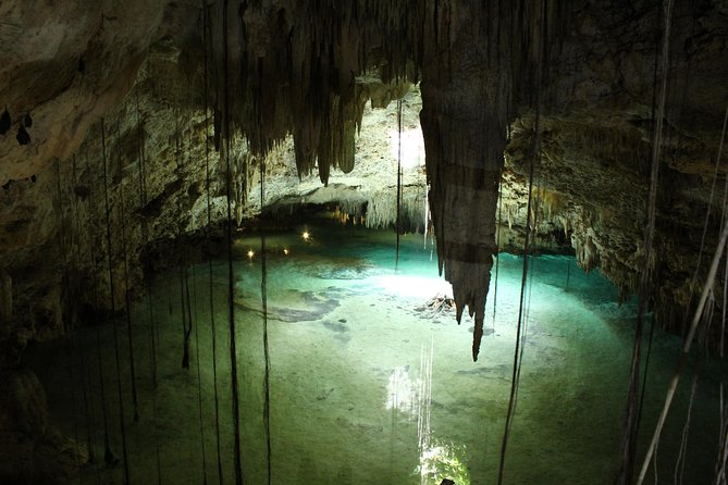 Turtles and Cenote snorkeling activity from Riviera Maya - The Real Value Check: Is It Worth $119?
