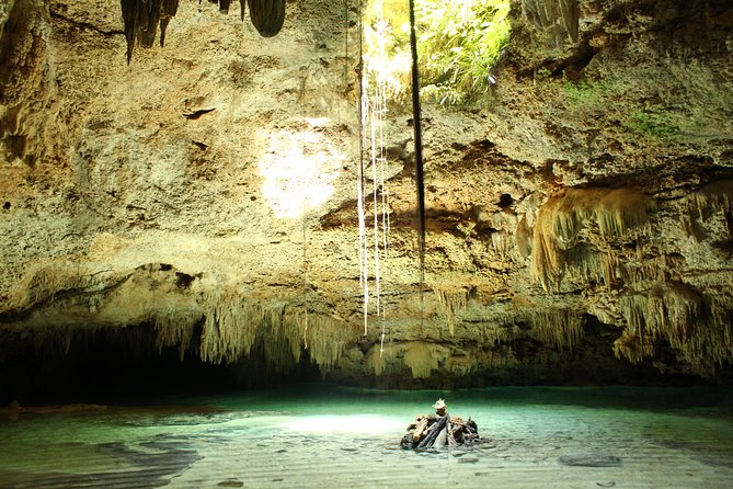 Turtles and Cenote snorkeling activity from Riviera Maya - Who This Turtle and Cenote Combo Fits Best