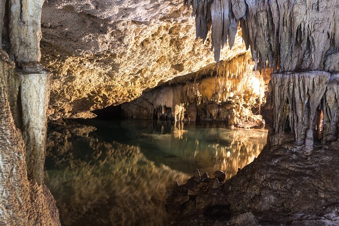 Turtles & Cenote! Half Day from Riviera Maya & Playa del Carmen - Gear, Comfort, and Safety: Life Vest Rules and Snorkel Fit