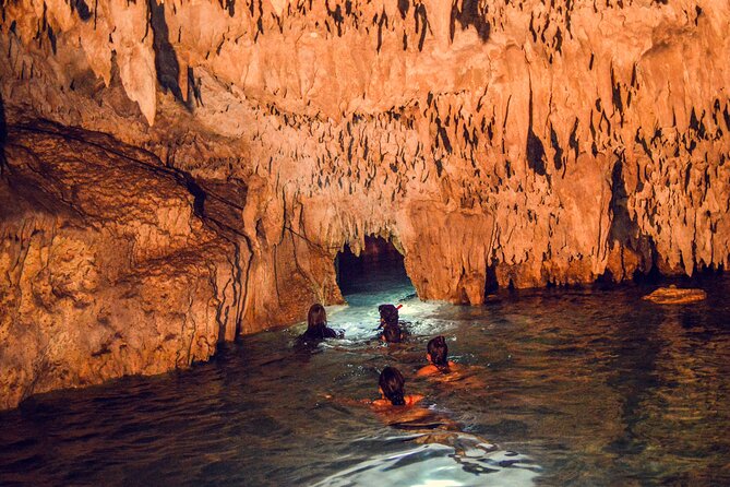 Turtles & Cenote! Half Day from Riviera Maya & Playa del Carmen - Who This Tour Fits Best (and Who Might Want a Different Plan)