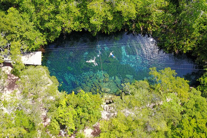 VIP Cenotes & Turtles Private Tour - Should you book VIP Cenotes & Turtles?