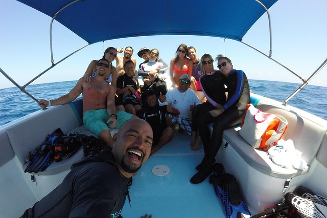 Whale shark encounter Private tour - swim with whale shark cancun - Besides whale sharks: mantas, turtles, dolphins, and reef life