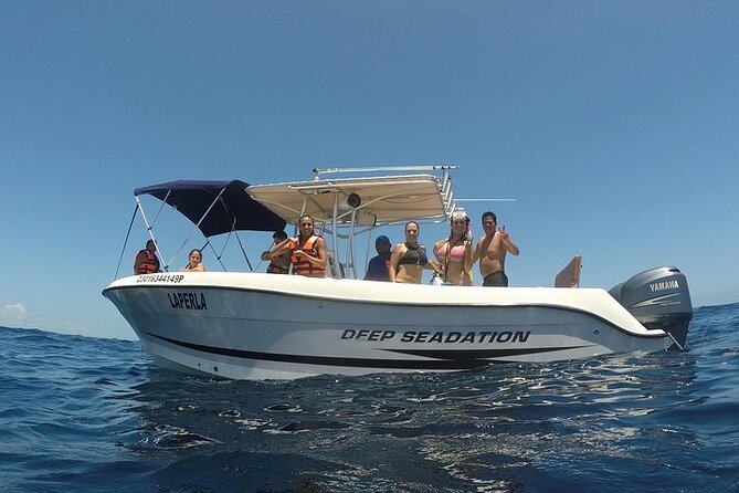 Whale Shark Experience from Playa del Carmen - How Long You’re Actually Busy (And How You Get Your Day Back)
