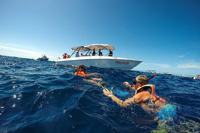 Whale Shark Snorkeling Adventure with Lunch - Playa Norte on Isla Mujeres: sand time plus a real lunch break