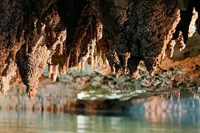Wild Jungle ATV Adventure with Cenote and Monkey Sanctuary - Should You Book This Wild Jungle ATV + Cenote + Monkey Sanctuary Tour?