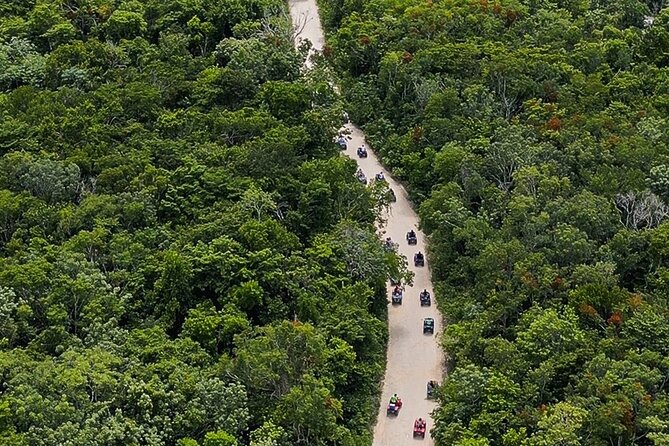 Wild Jungle ATV Adventure with Cenote and Monkey Sanctuary - FAQ