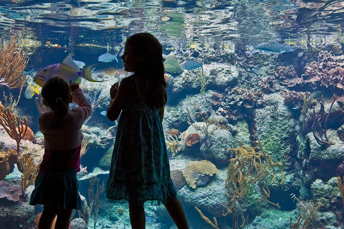 Xcaret Park Plus Access with Transportation and Night Show - Beach, inlet, and natural pools: when to plan your downtime