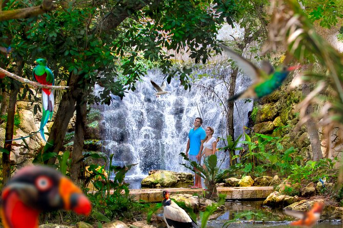 Xcaret Park Plus Access with Transportation and Night Show - Xcaret México Espectacular night show: the payoff