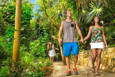 Xcaret Park Plus With Round Transportation From Cancun & Riviera Maya - Underground rivers: the signature experience (and why it’s worth pacing)