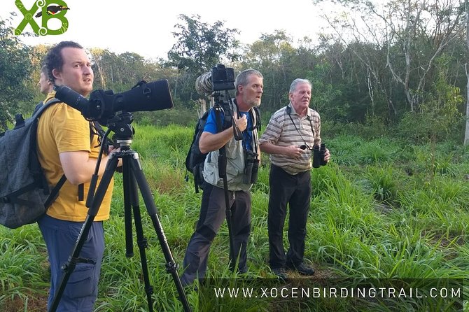 Xocen Birding - Why This Bird Walk Works So Well So Close to Valladolid