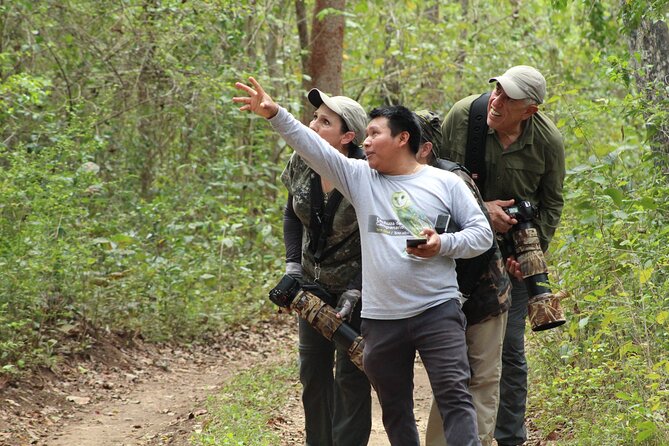 Xocen Birding - The Maya Connection: Birds as Cultural Thread, Not Background