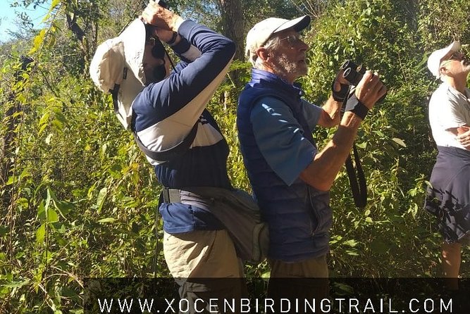 Xocen Birding - The Morning Timing: 6:00am for a Reason