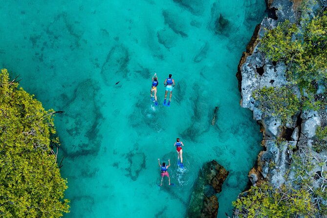 YAL-KU Park in Riviera Maya Admission Ticket - Yal-Kú Lagoon snorkeling: what to expect in the water